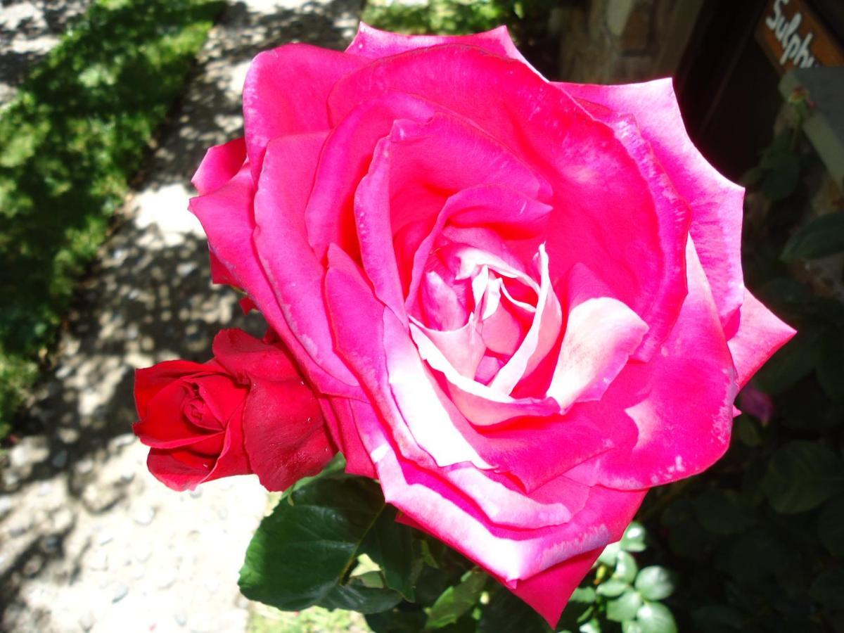 Apart Rose Garden San Martín de los Andes Exterior photo